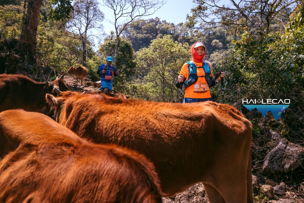 VietNam Ultra Marathon( P2)