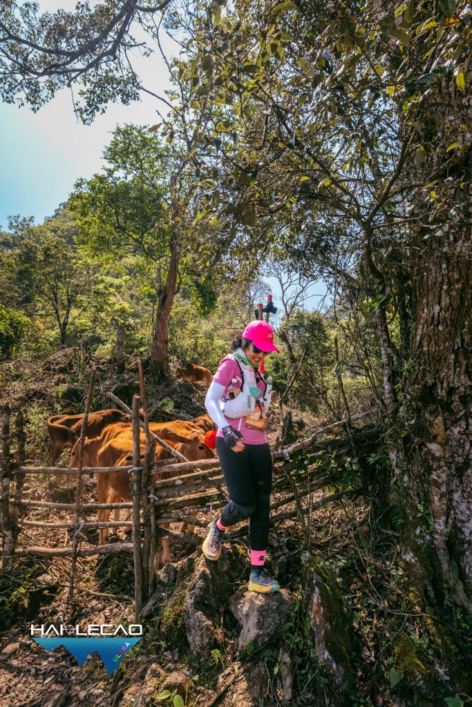 VietNam Ultra Marathon( P2)