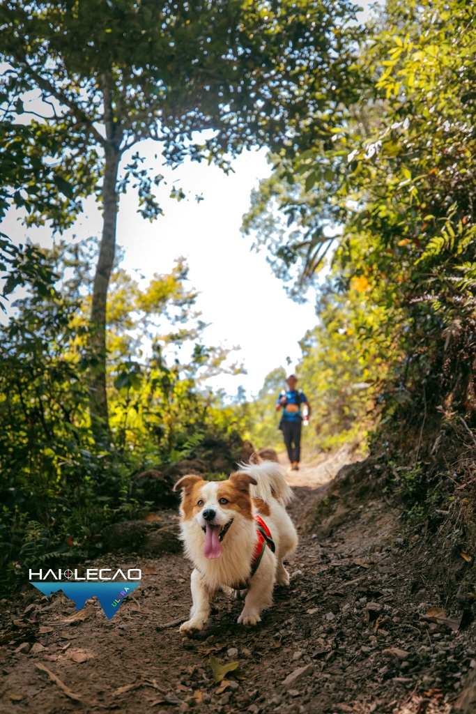 VietNam Ultra Marathon( P2)