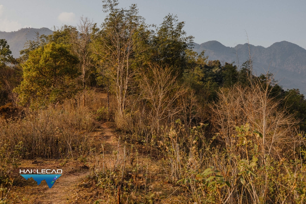 VietNam Ultra Marathon( P4)