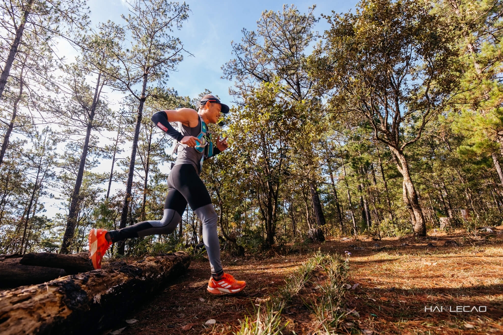 Dalat Ultra Trail