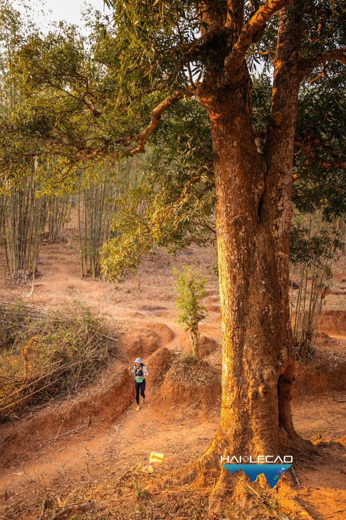 VietNam Ultra Marathon( P4)