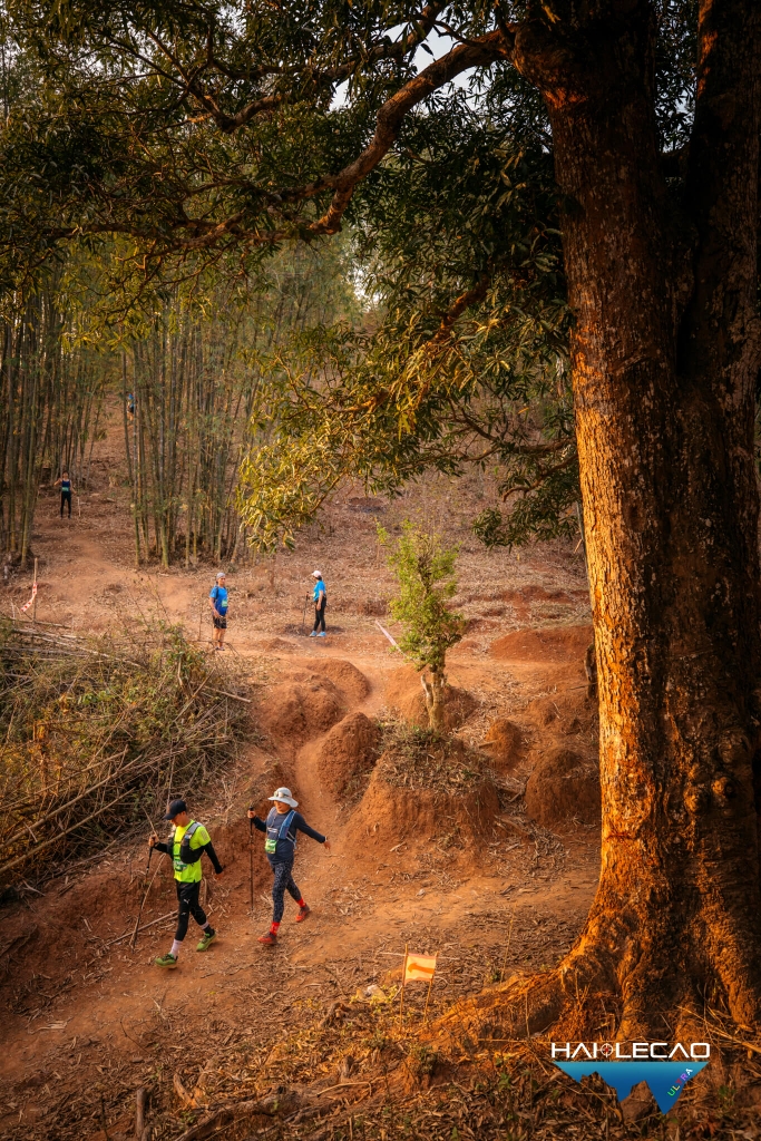 VietNam Ultra Marathon( P4)