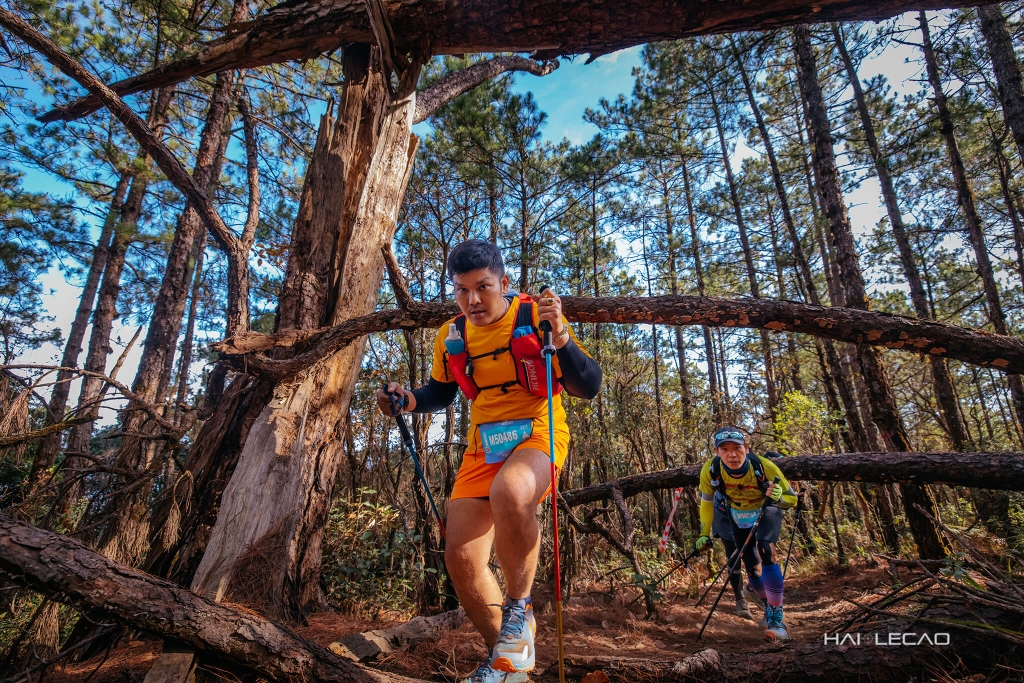 Dalat Ultra Trail