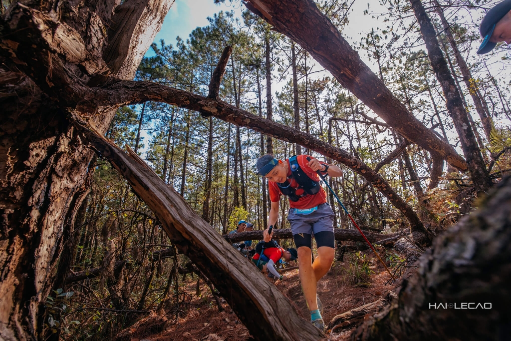 Dalat Ultra Trail