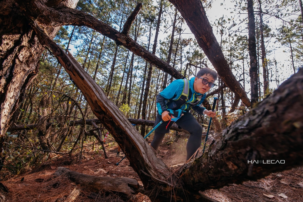 Dalat Ultra Trail