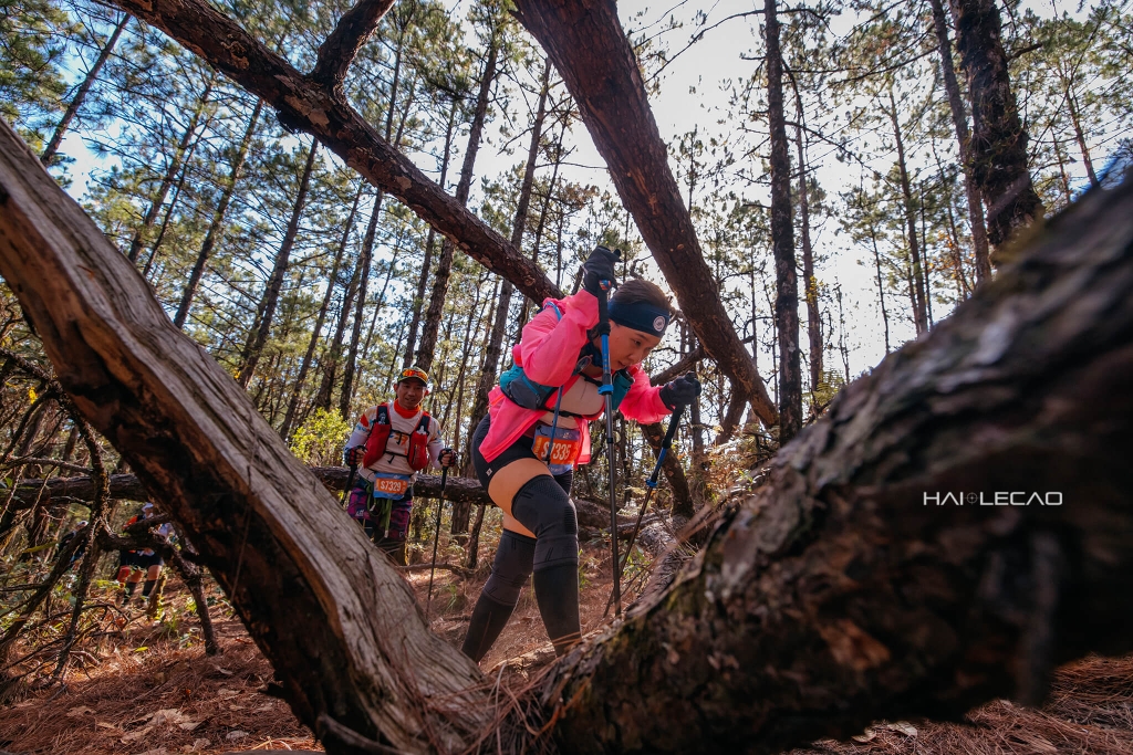 Dalat Ultra Trail