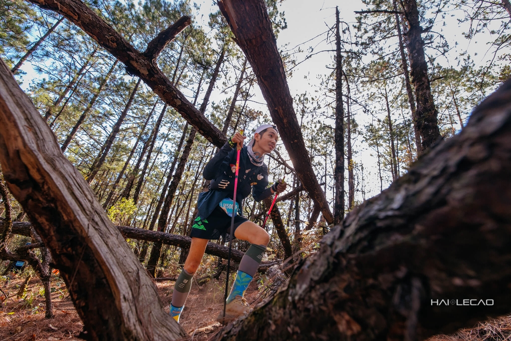 Dalat Ultra Trail