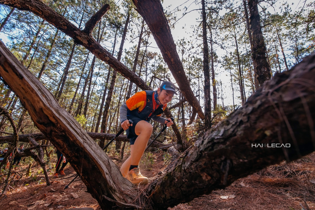 Dalat Ultra Trail