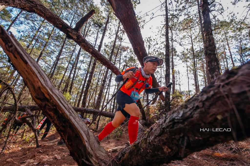 Dalat Ultra Trail