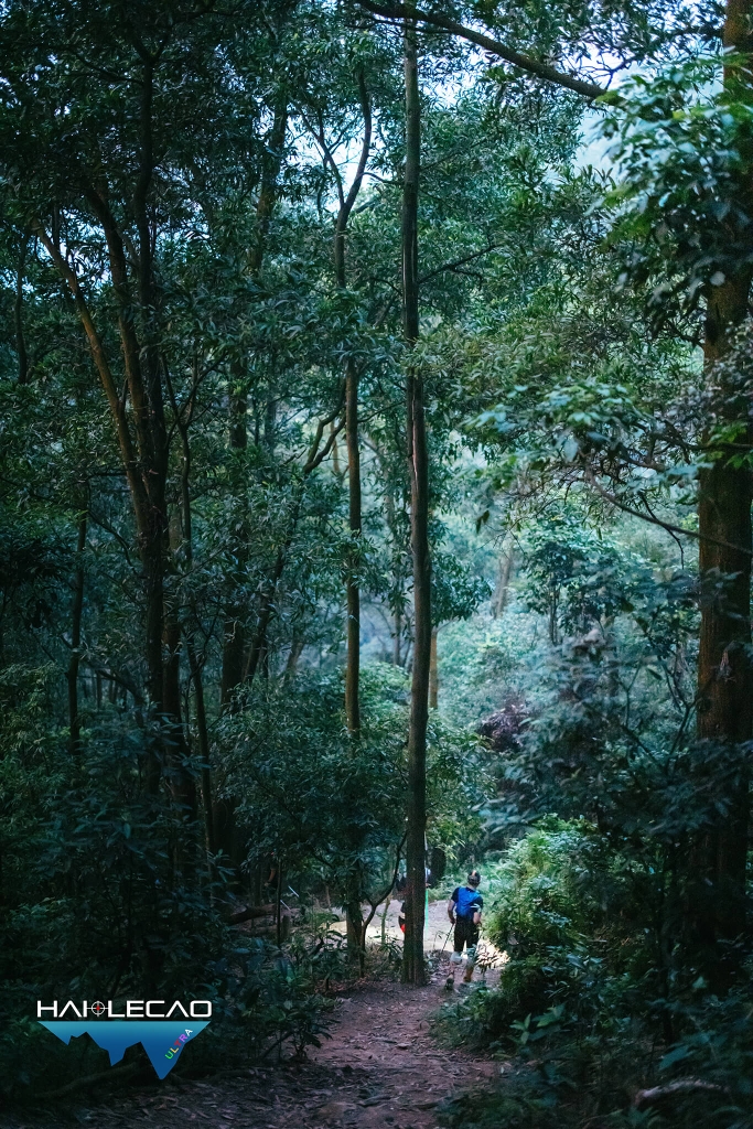 Việt Nam Ultra Trail/P2