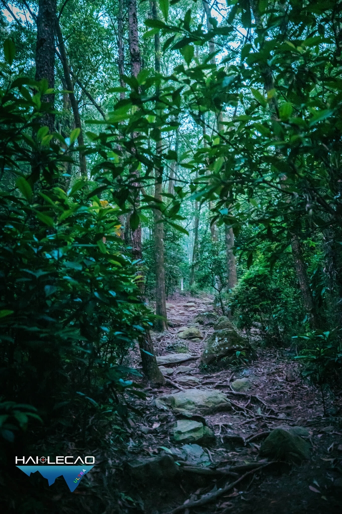 Việt Nam Ultra Trail/P2
