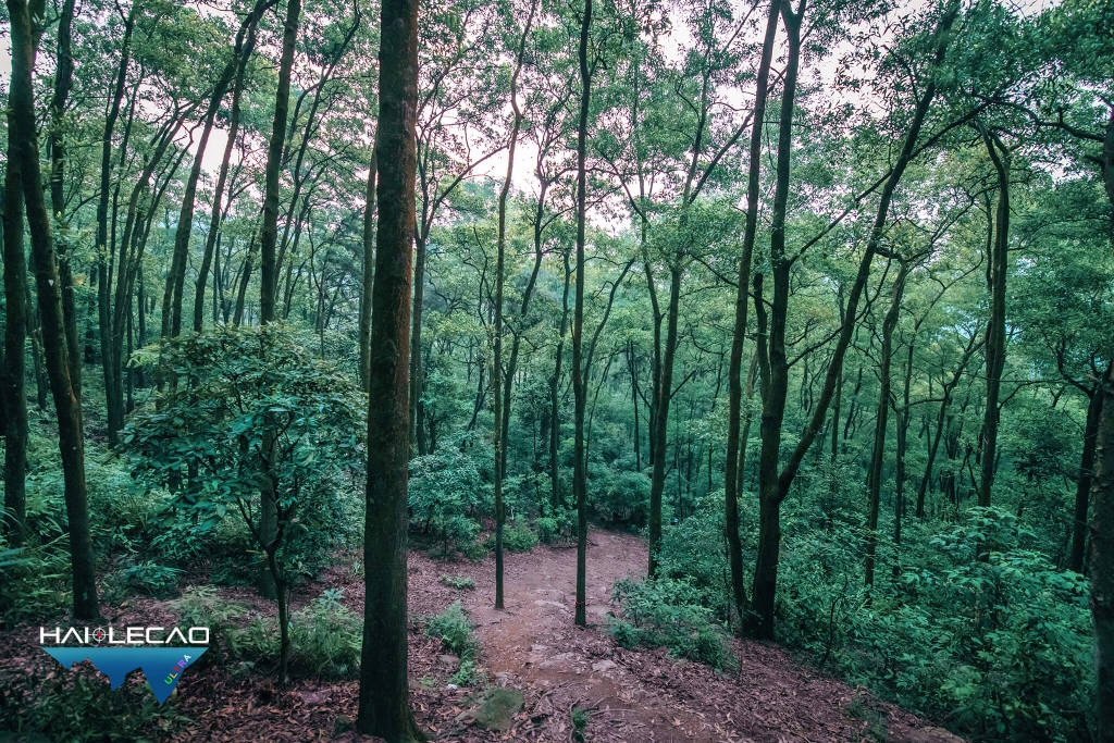 Việt Nam Ultra Trail/P2