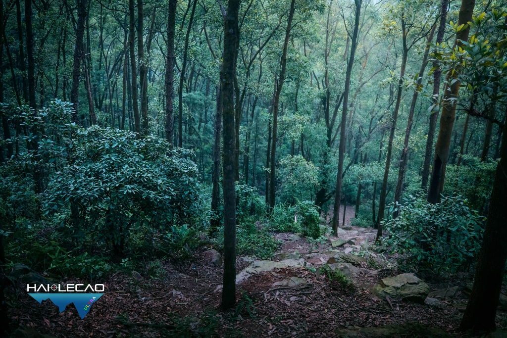 Việt Nam Ultra Trail/P2