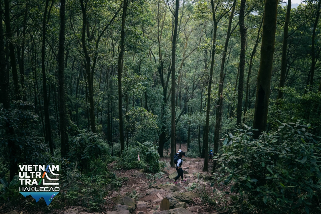 Việt Nam Ultra Trail