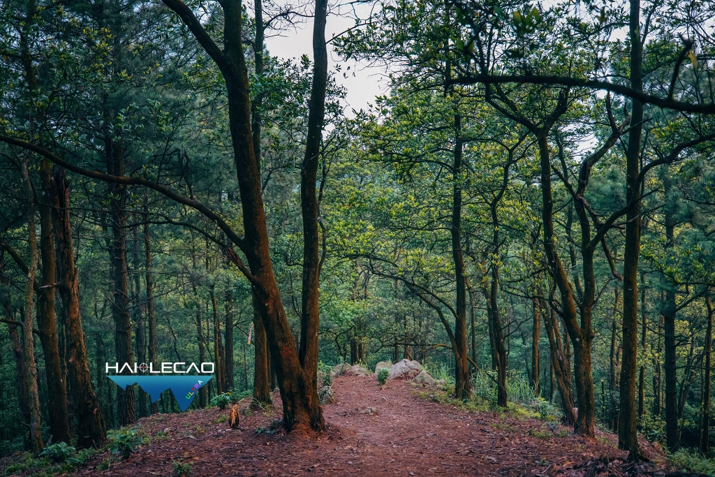 Việt Nam Ultra Trail/P2