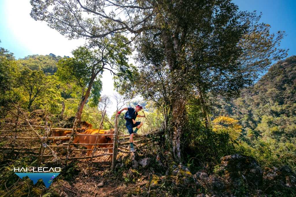 VietNam Ultra Marathon( P2)