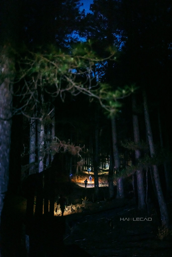 Dalat Ultra Trail