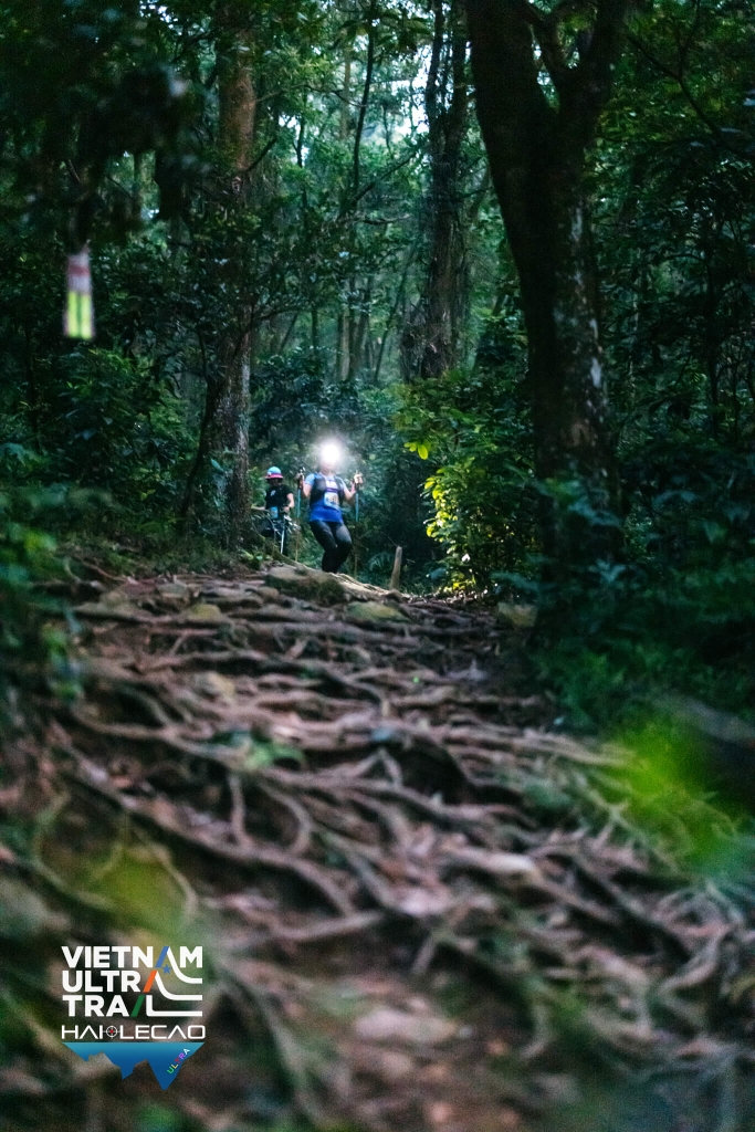 Việt Nam Ultra Trail