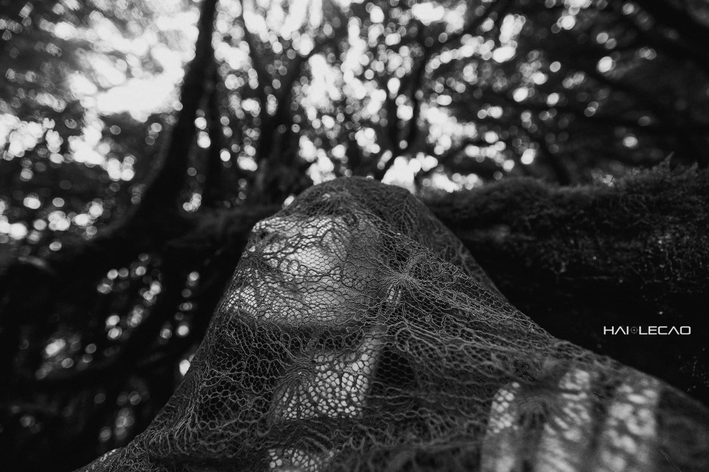 Rừng Hoang Vu/ Hà Giang