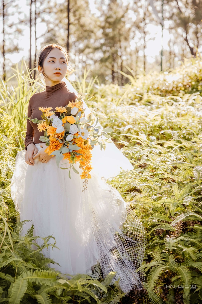 Nam - Dung/Quảng Ninh