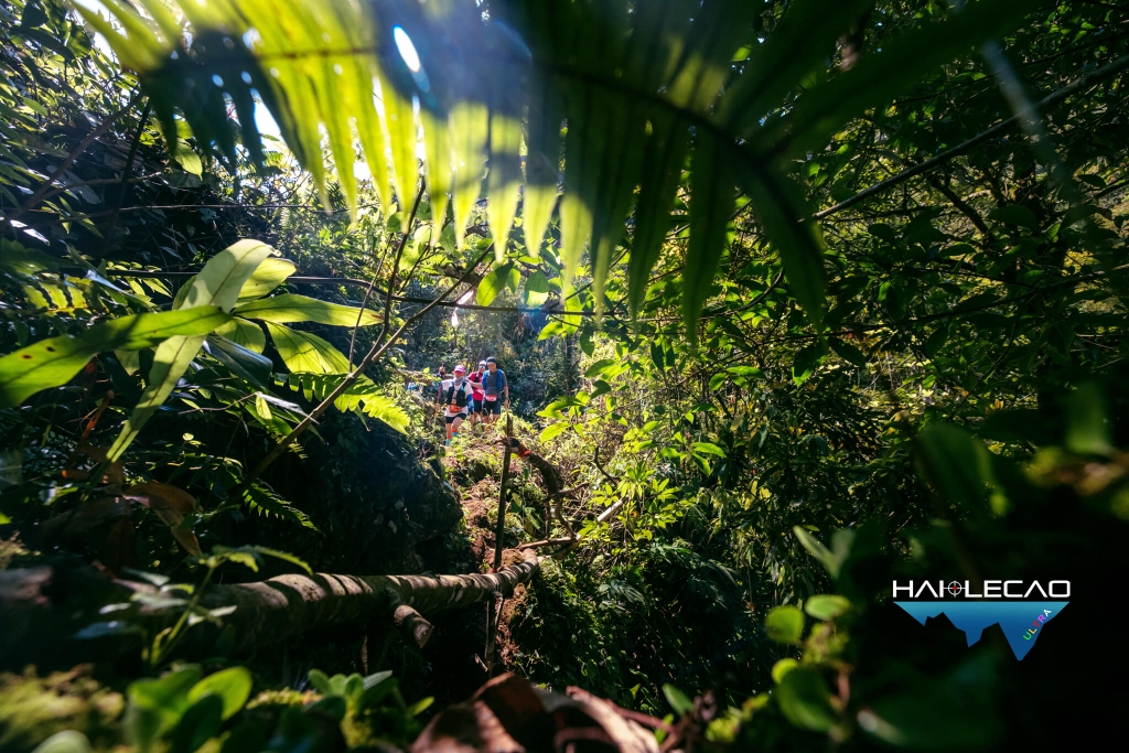 VietNam Ultra Marathon( P2)