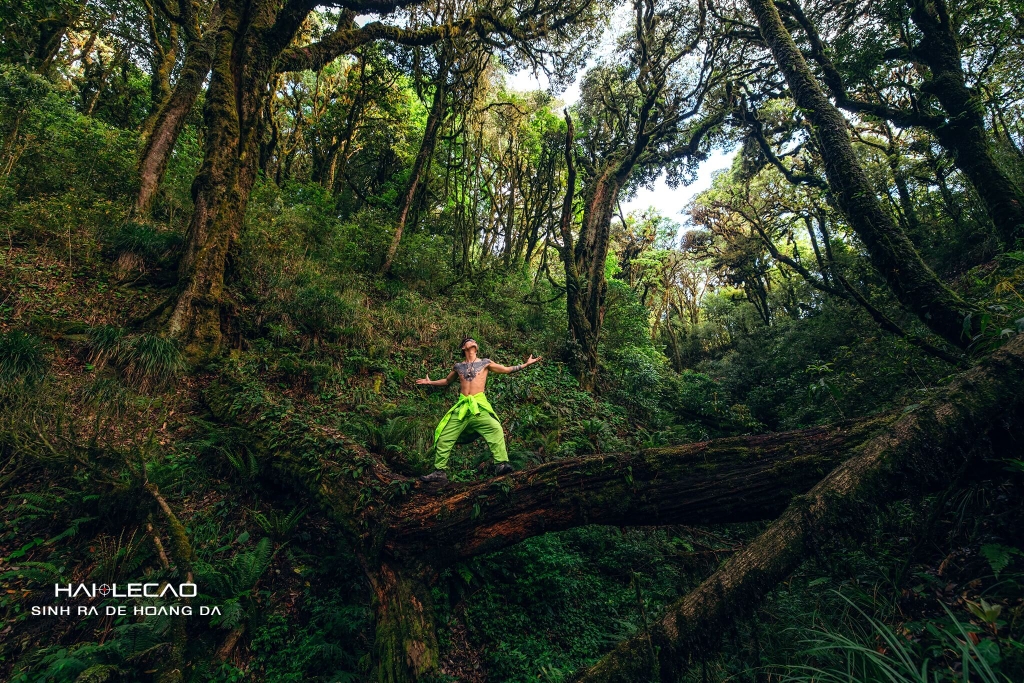 Tây Côn Lĩnh / Hà Giang