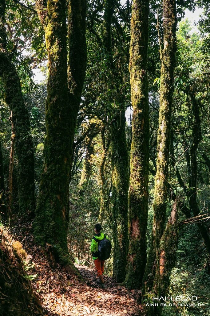 Tây Côn Lĩnh / Hà Giang