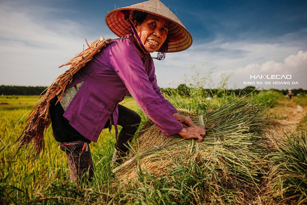 Bức Hoạ Đồng Quê