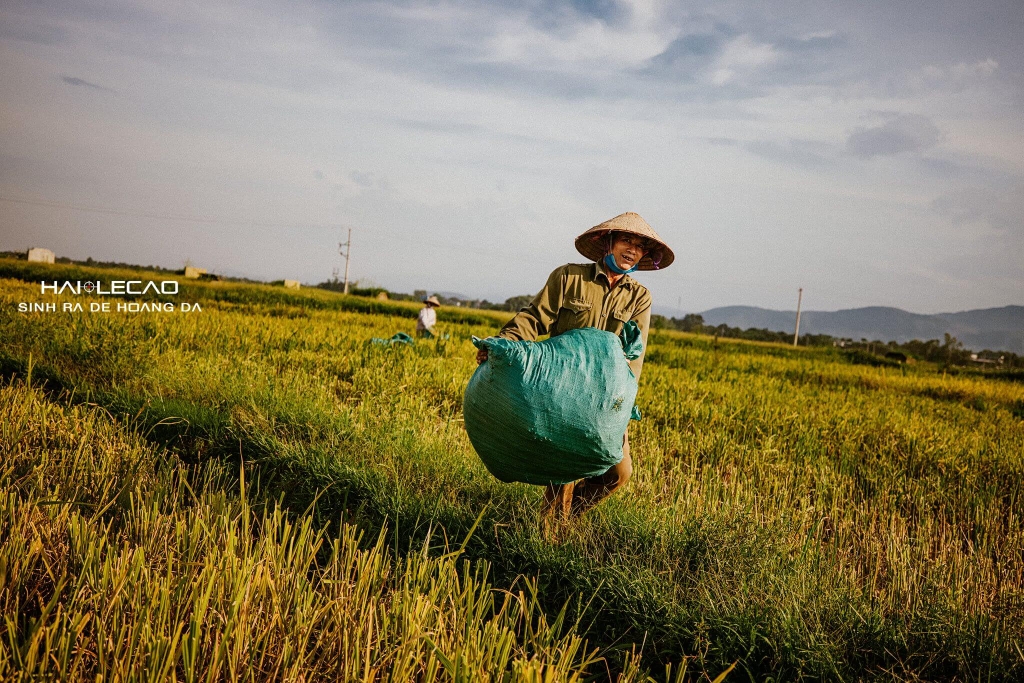 Bức Hoạ Đồng Quê