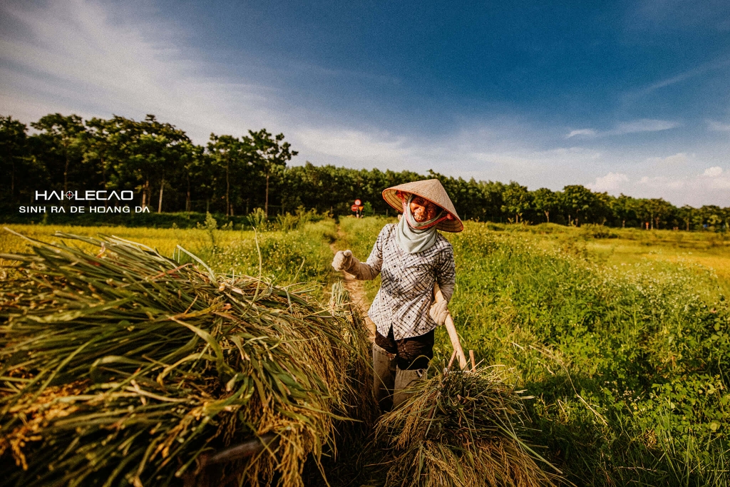 Bức Hoạ Đồng Quê