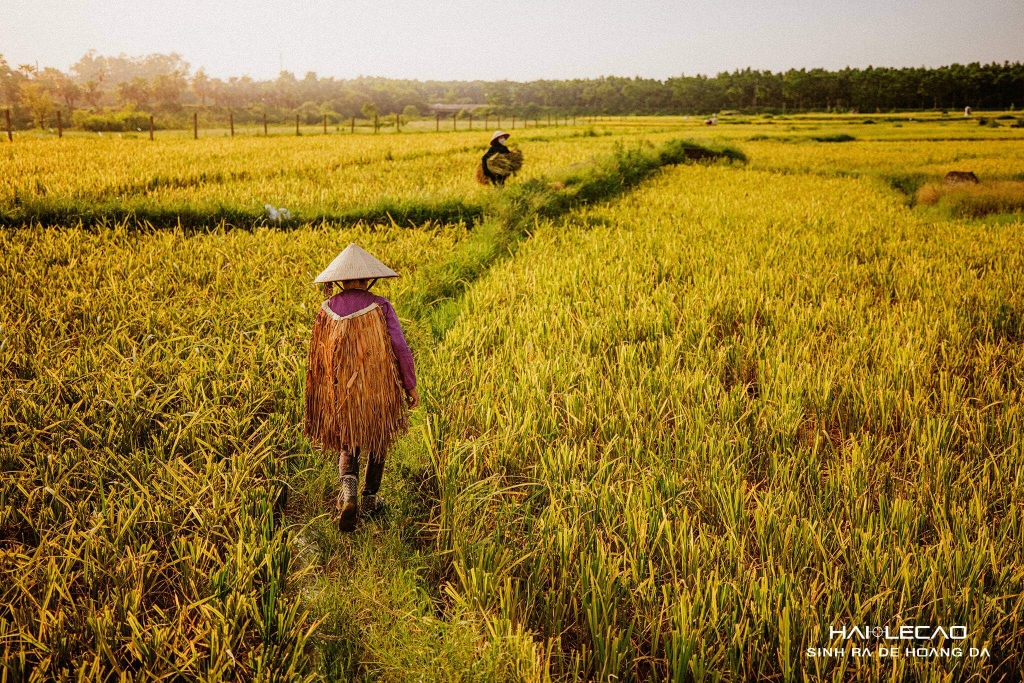 Bức Hoạ Đồng Quê