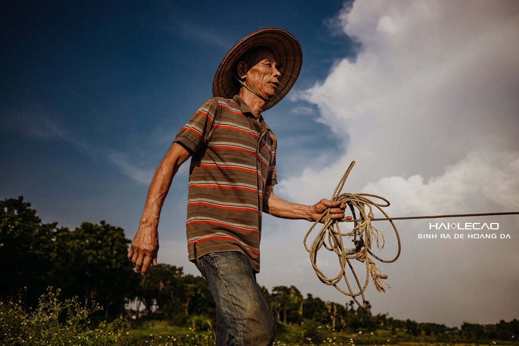 Bức Hoạ Đồng Quê