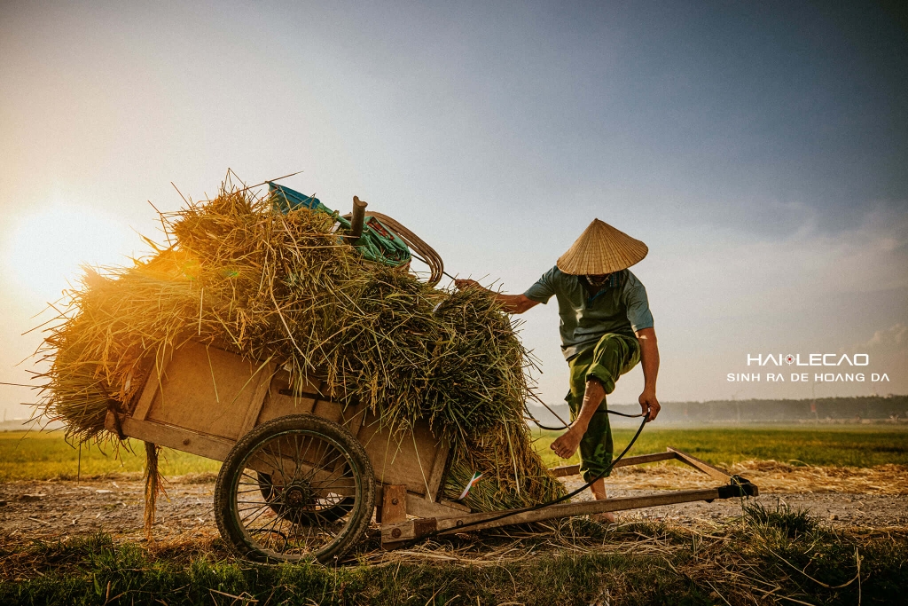 Bức Hoạ Đồng Quê