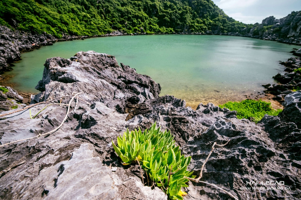 Cát Bà/ Hải Phòng