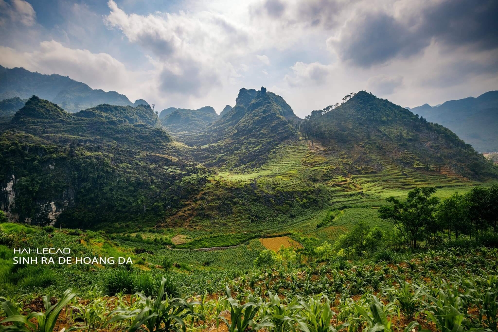 Hà Giang