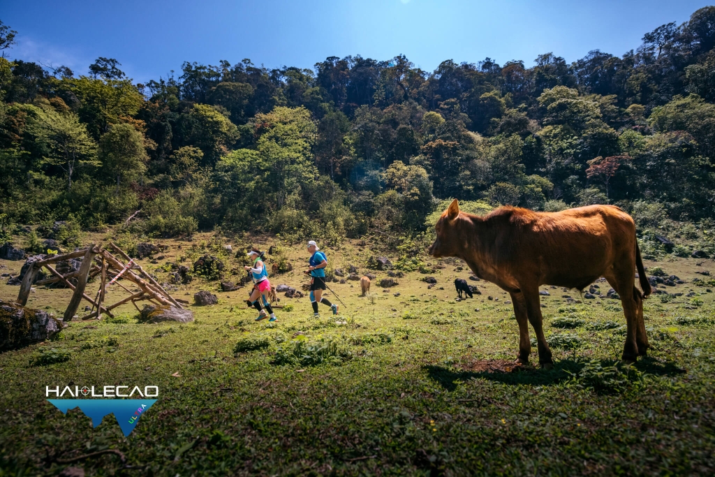 VietNam Ultra Marathon( P2)
