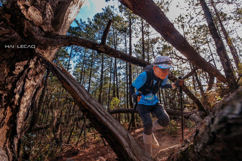 Dalat Ultra Trail