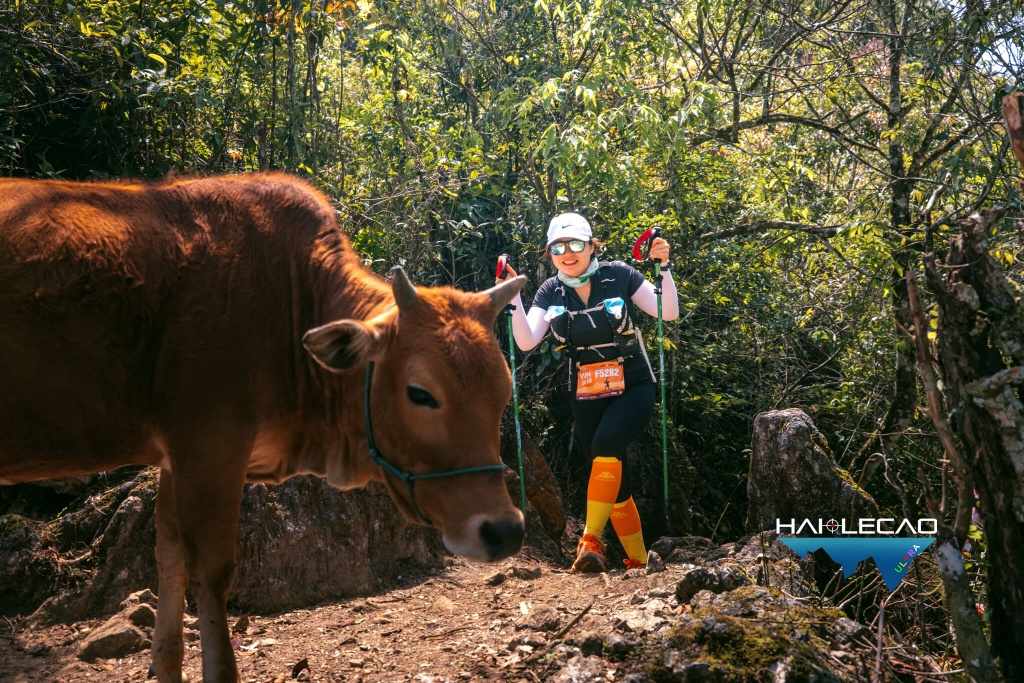 VietNam Ultra Marathon( P2)