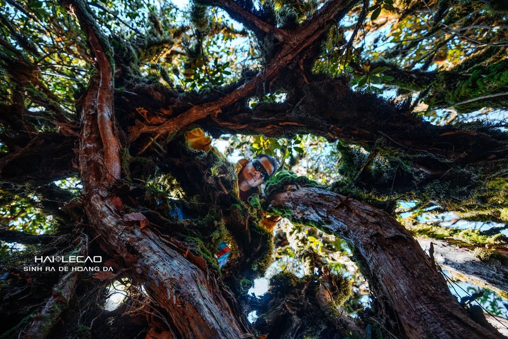 Tà Xùa / Yên Bái