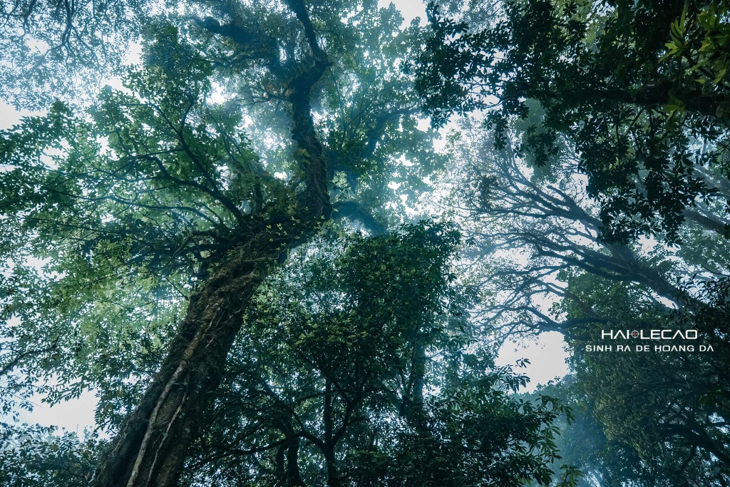 Tây Côn Lĩnh / Hà Giang