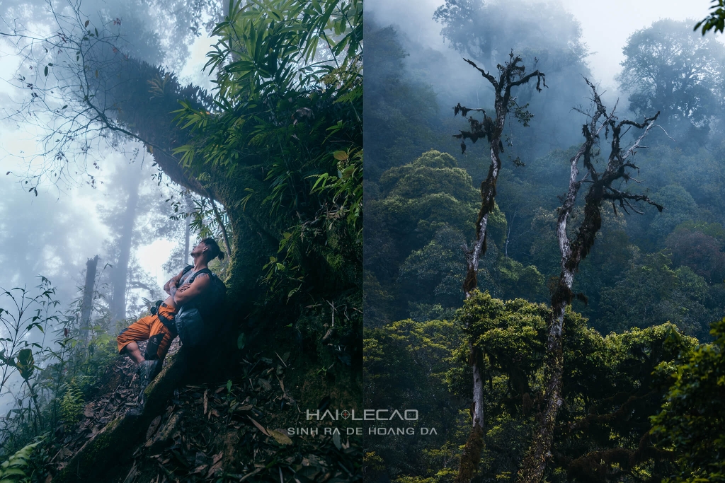 Tây Côn Lĩnh / Hà Giang