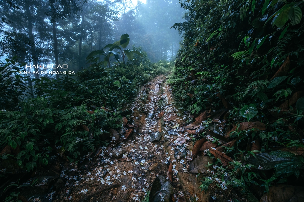 Tây Côn Lĩnh / Hà Giang