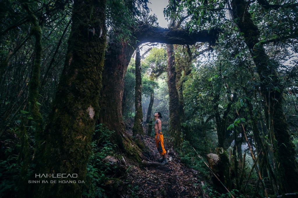 Tây Côn Lĩnh / Hà Giang