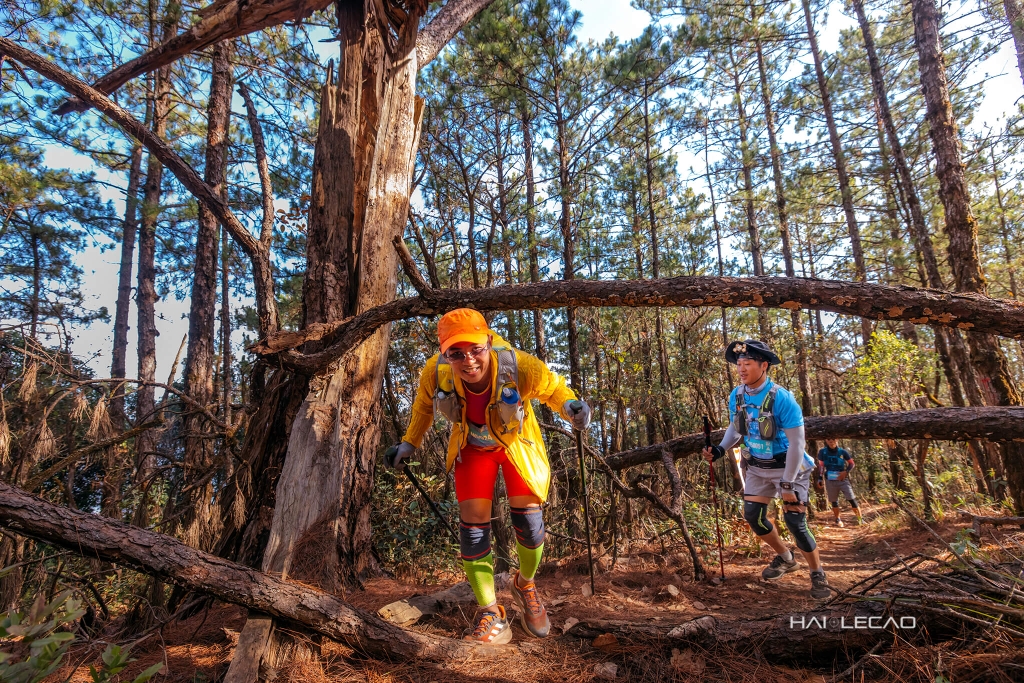 Dalat Ultra Trail