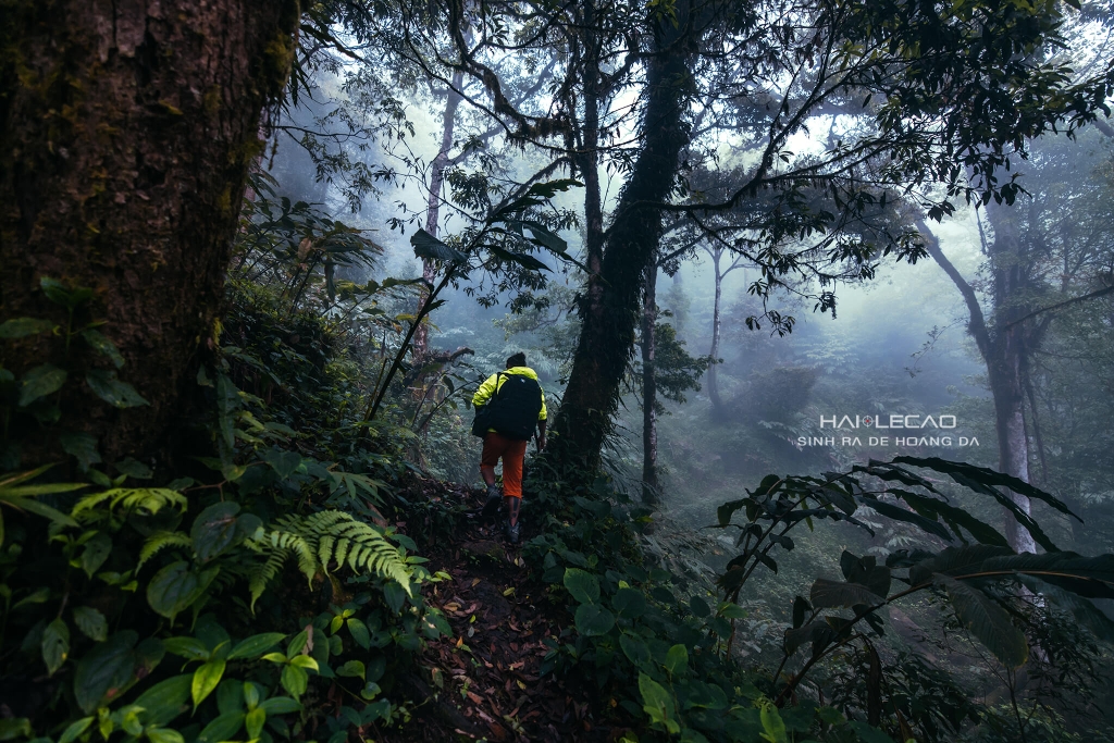 Tây Côn Lĩnh / Hà Giang