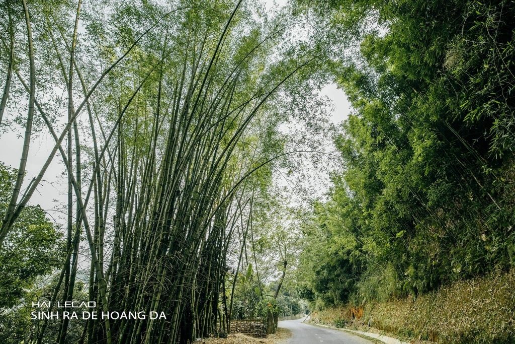 Hà Giang