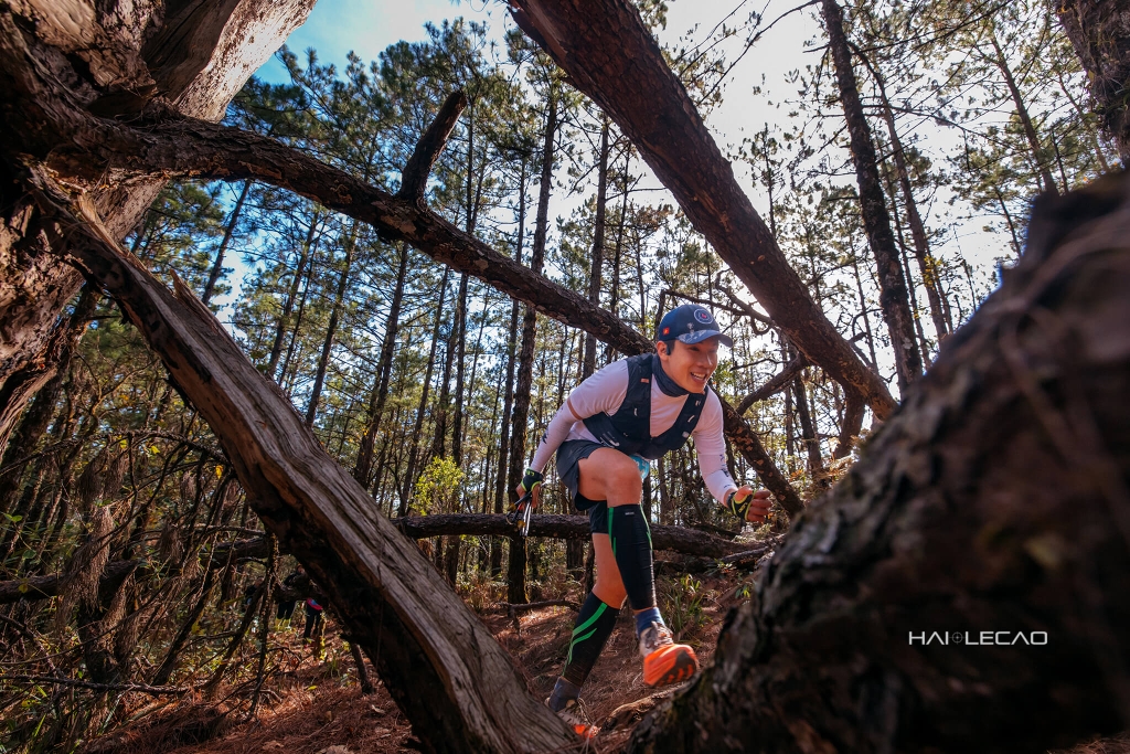 Dalat Ultra Trail