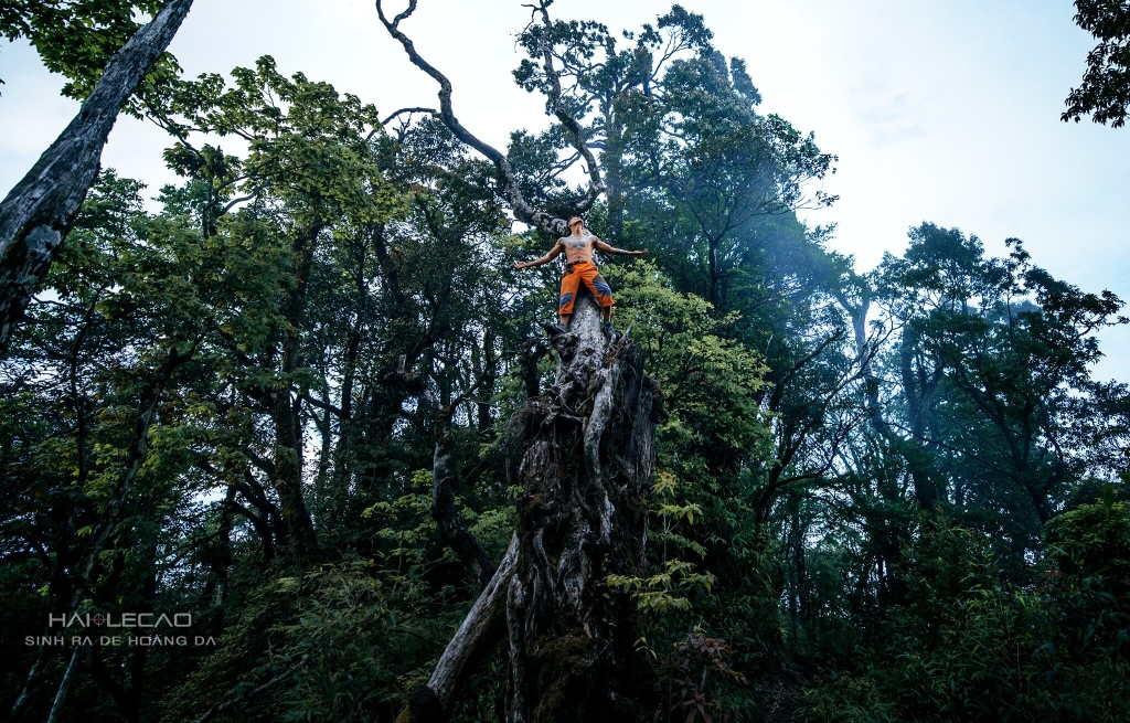 Tây Côn Lĩnh / Hà Giang