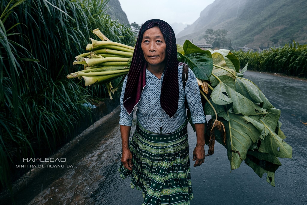 Hà Giang